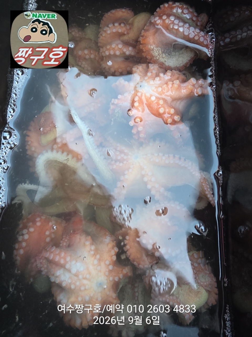 9월 6일 여수 문어 선상낚시 조황 현장 사진 1