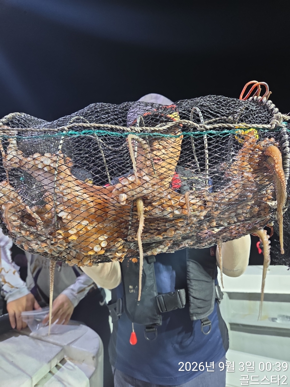 9월 2일 거제 문어 선상낚시 조황 현장 사진 3