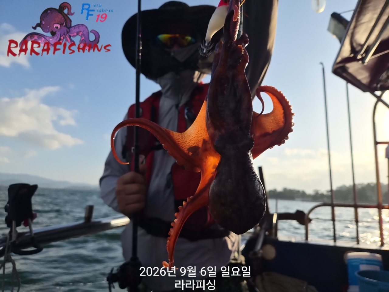 9월 6일 진해 문어 선상낚시 조황 현장 사진 11