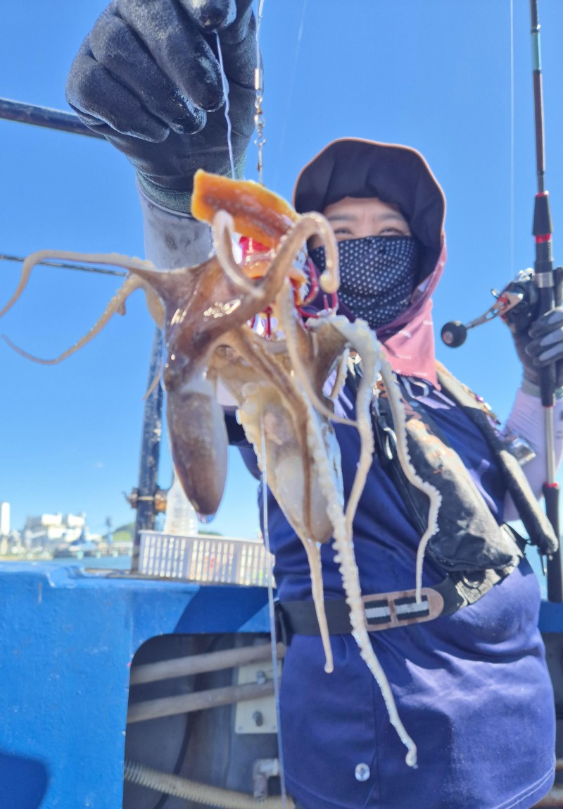 9월 6일 갑오징어 선상낚시 조황 현장 사진 22