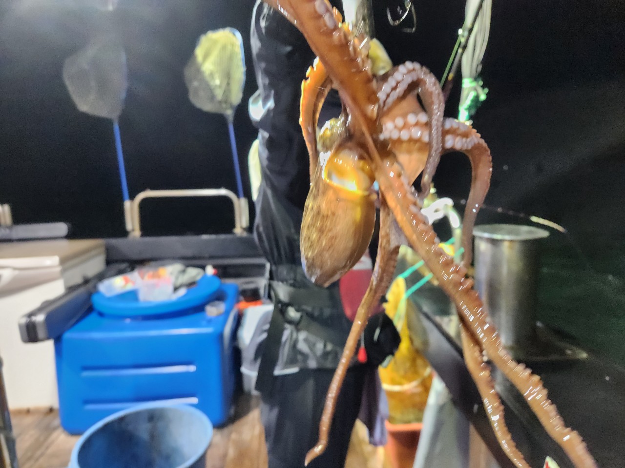 9월 5일 여수 문어 선상낚시 조황 현장 사진 2