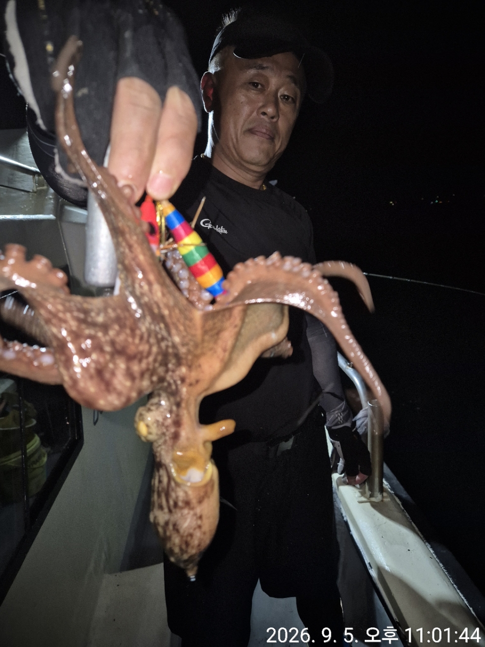 9월 6일 문어 선상낚시 조황 현장 사진 13