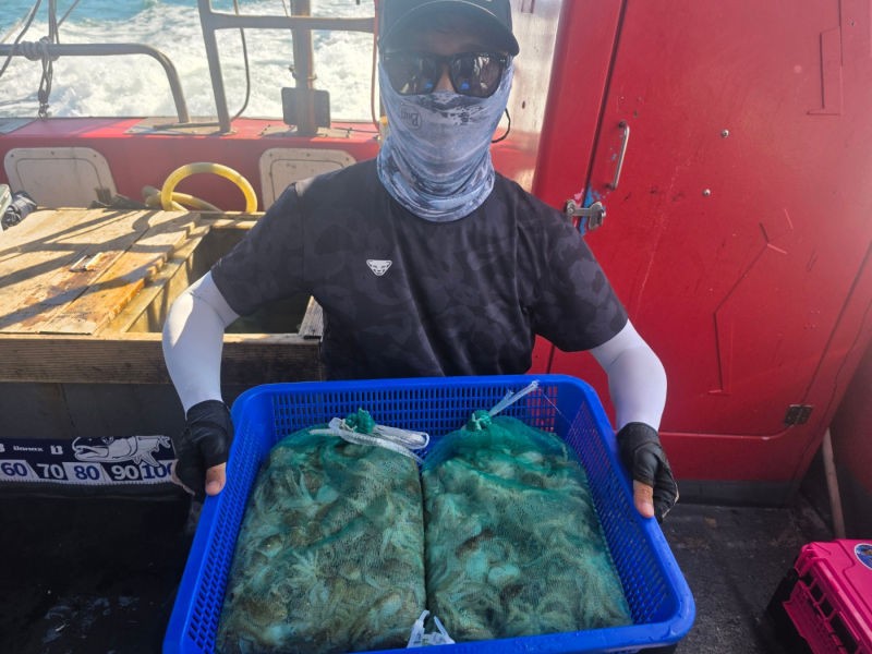 9월 5일 인천 갑오징어 선상낚시 조황 현장 사진 48