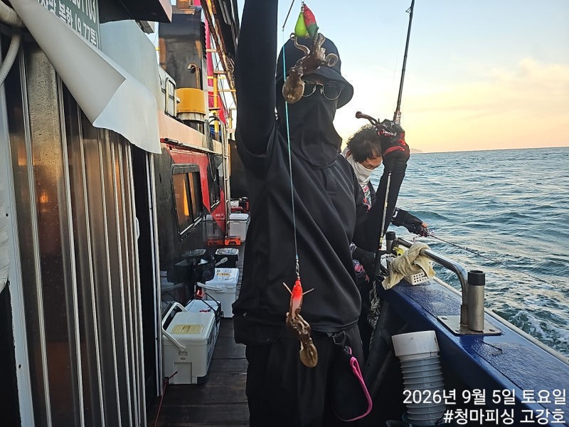 9월 5일 인천 갑오징어 선상낚시 조황 현장 사진 15
