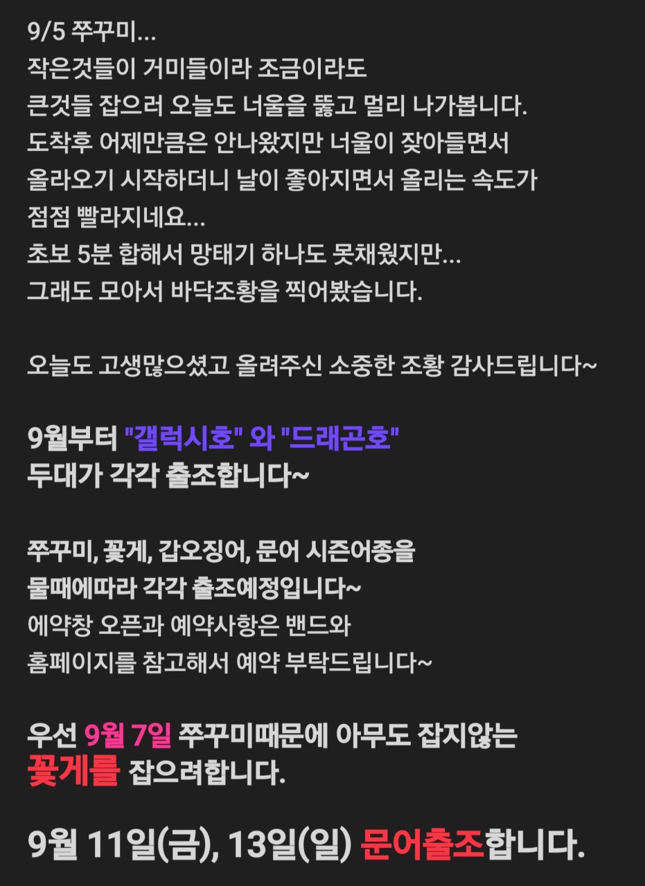 9월 5일 선상낚시 조황 현장 사진 1