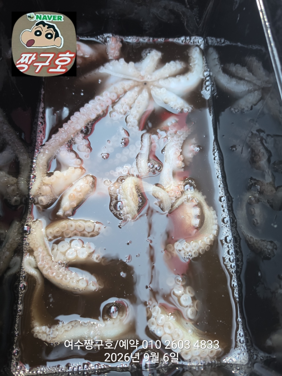 9월 6일 여수 문어 선상낚시 조황 현장 사진 3