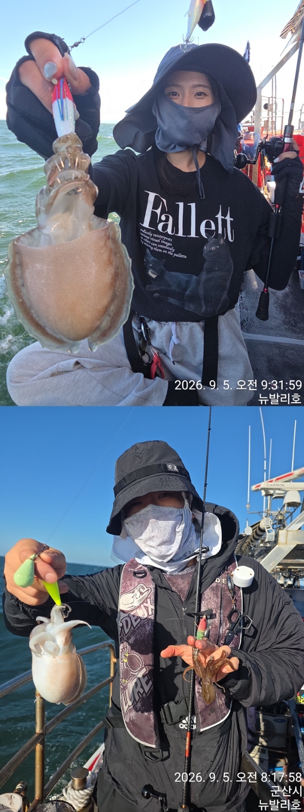 9월 6일 군산 주꾸미 선상낚시 조황 현장 사진 4