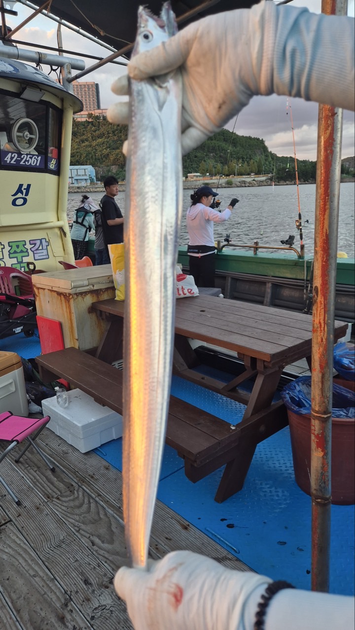 9월 5일 목포 갈치 선상낚시 조황 현장 사진 4