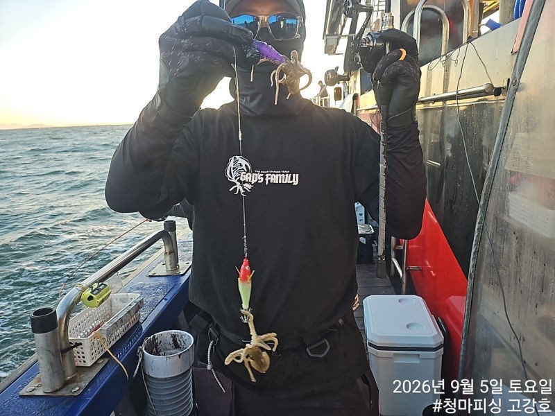 9월 5일 인천 갑오징어 선상낚시 조황 현장 사진 17