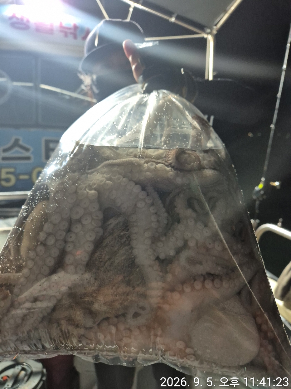 9월 6일 문어 선상낚시 조황 현장 사진 9