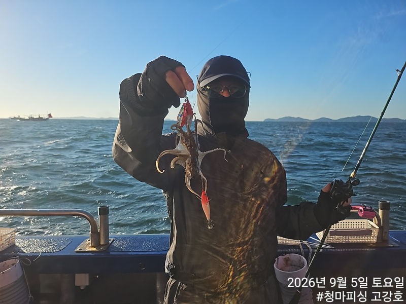 9월 5일 인천 갑오징어 선상낚시 조황 현장 사진 20