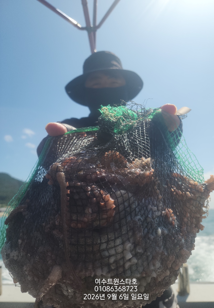 9월 7일 여수 문어 선상낚시 조황 현장 사진 2