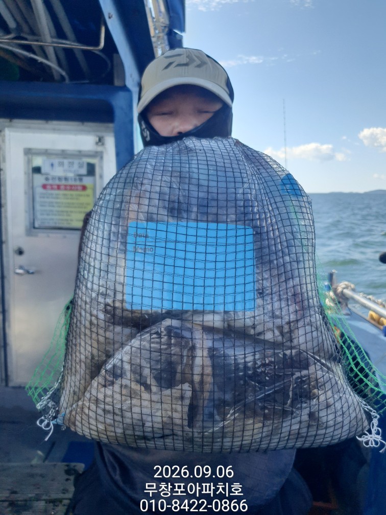9월 6일 포항 주꾸미 선상낚시 조황 현장 사진 7