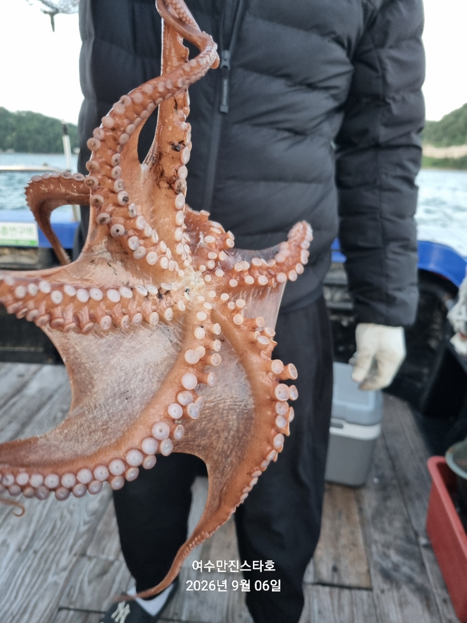 9월 6일 여수 문어 선상낚시 조황 현장 사진 9