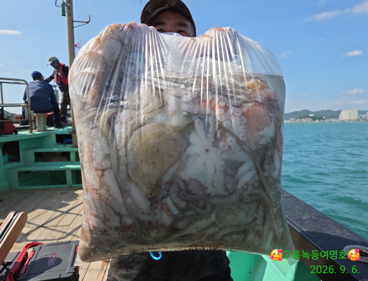 9월 7일 고흥 문어 선상낚시 조황 현장 사진 1
