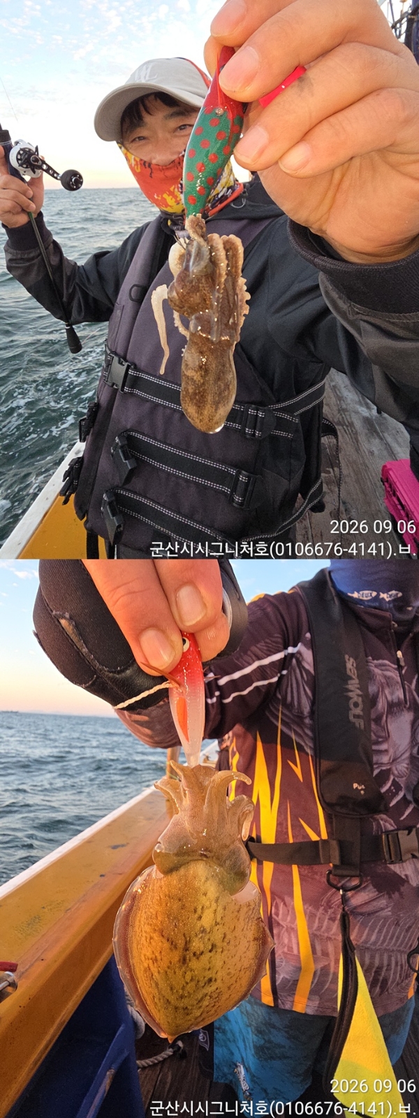 9월 8일 군산 주꾸미 선상낚시 조황 현장 사진 5