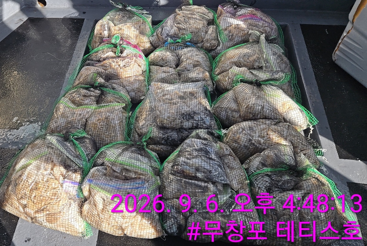 9월 6일 갑오징어 선상낚시 조황 현장 사진 2