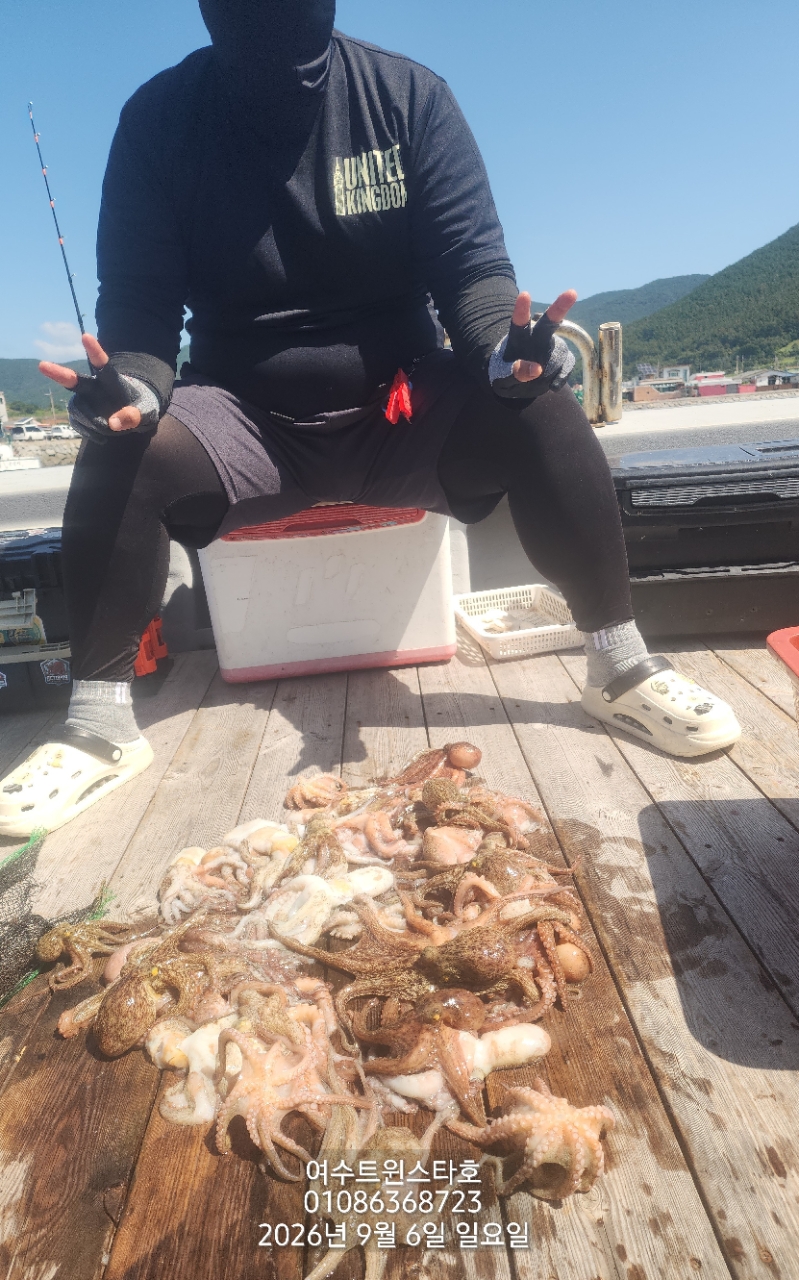 9월 7일 여수 문어 선상낚시 조황 현장 사진 9