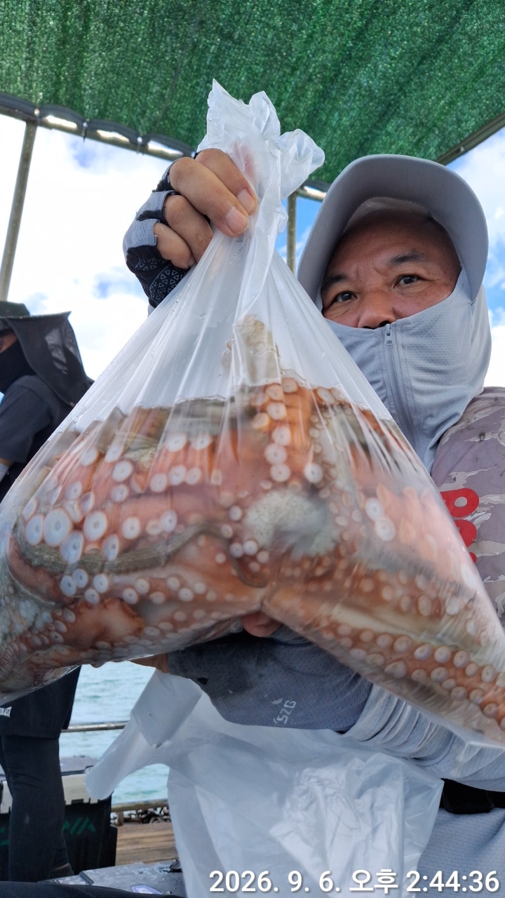 9월 6일 문어 선상낚시 조황 현장 사진 3