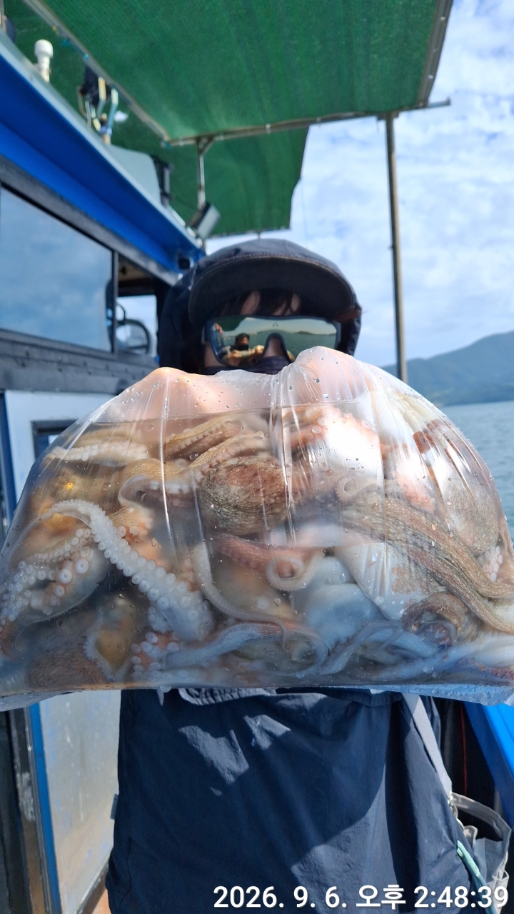 9월 6일 문어 선상낚시 조황 현장 사진 4