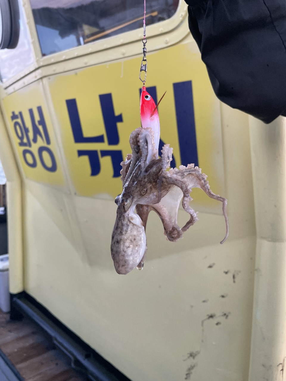 9월 6일 여수 주꾸미 선상낚시 조황 현장 사진 14