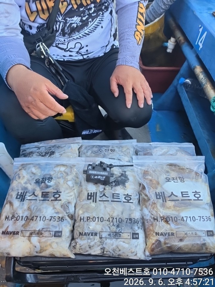 9월 6일 갑오징어 선상낚시 조황 현장 사진 5