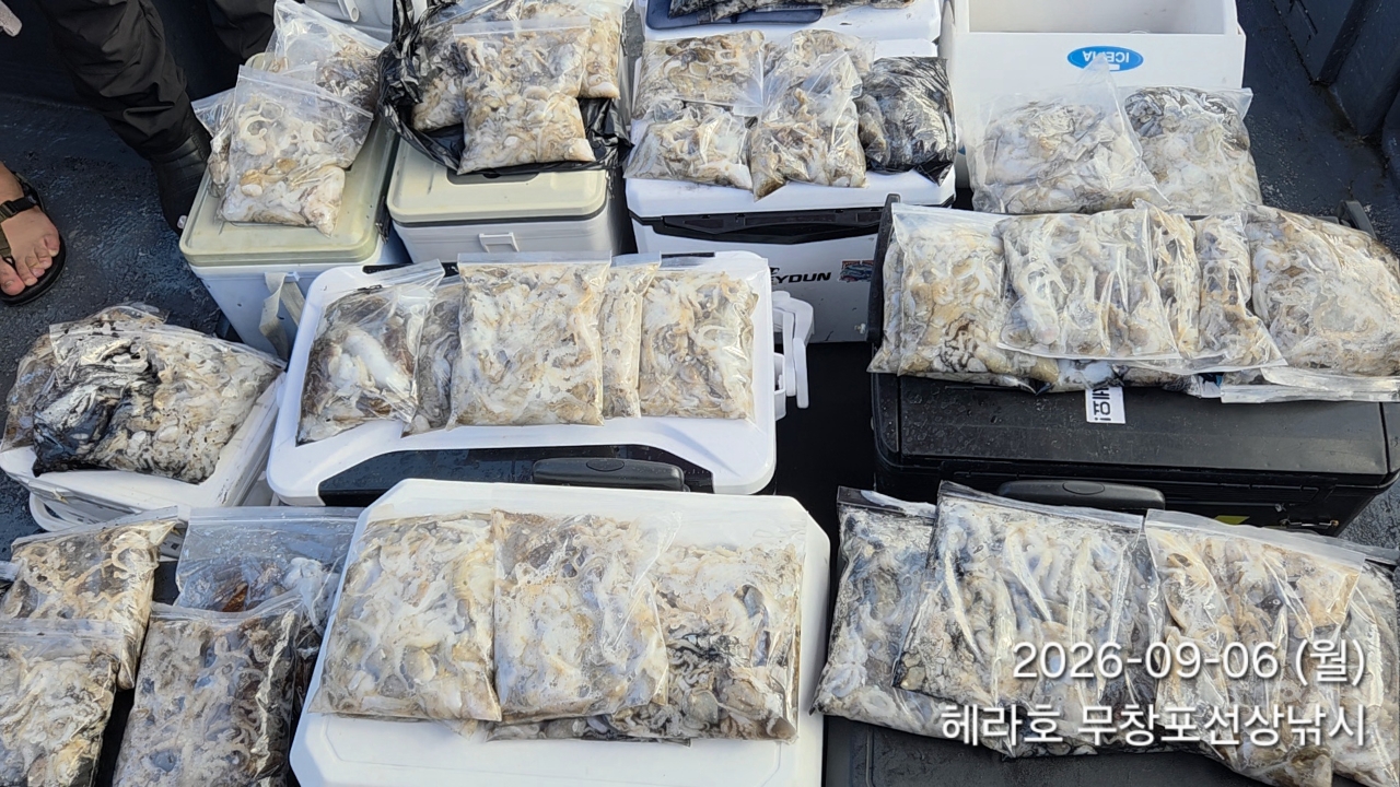 9월 6일 주꾸미 선상낚시 조황 현장 사진 5