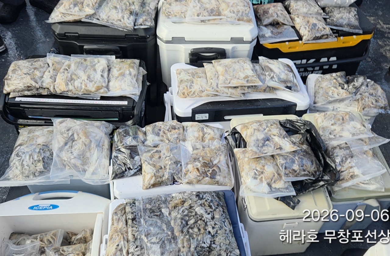 9월 6일 주꾸미 선상낚시 조황 현장 사진 6
