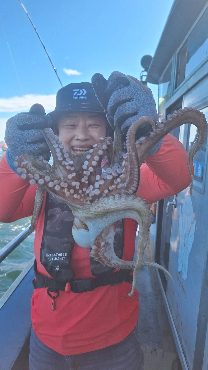 9월 6일 갑오징어 선상낚시 조황 현장 사진 25