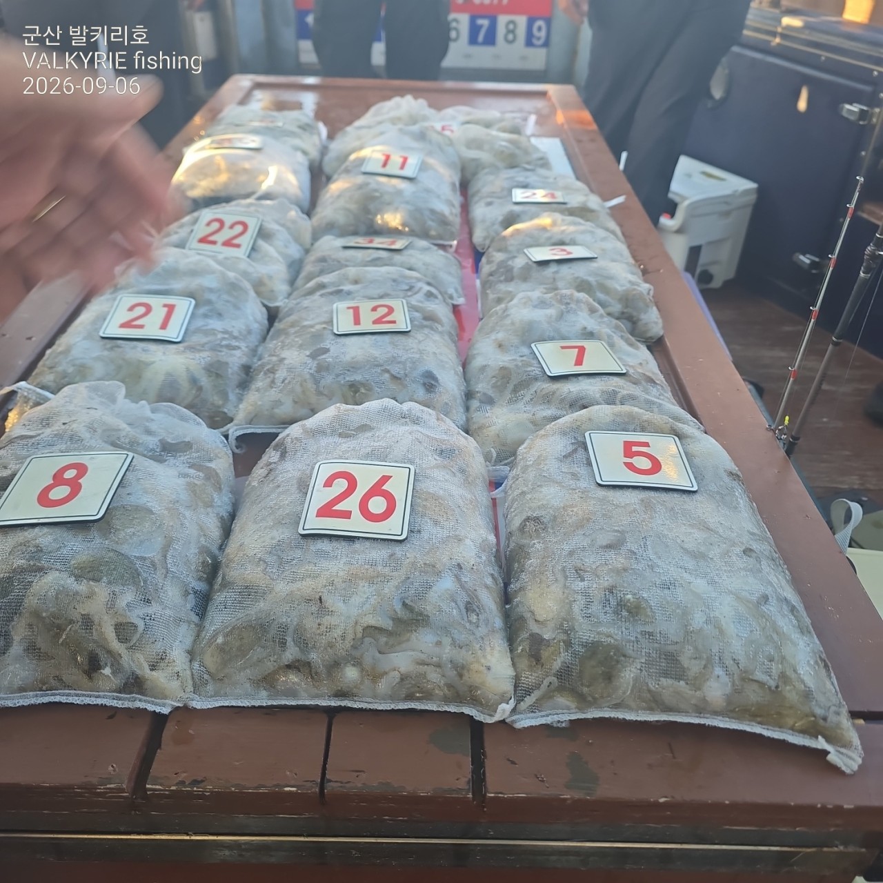 9월 6일 군산 주꾸미 선상낚시 조황 현장 사진 2