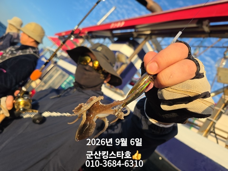 9월 6일 군산 주꾸미 선상낚시 조황 현장 사진 6