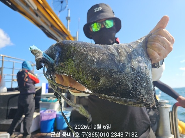 9월 6일 군산 주꾸미 선상낚시 조황 현장 사진 4