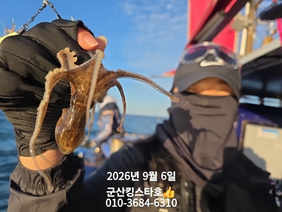 9월 6일 군산 주꾸미 선상낚시 조황 현장 사진 7
