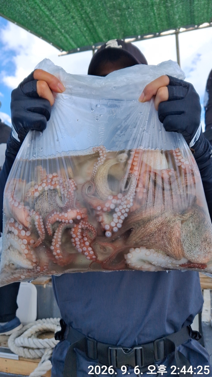 9월 6일 문어 선상낚시 조황 현장 사진 2