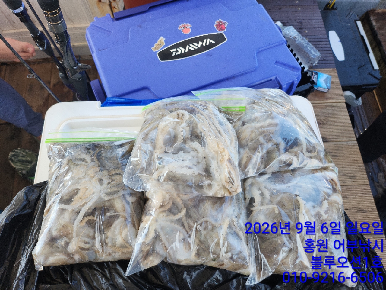 9월 6일 주꾸미 선상낚시 조황 현장 사진 8