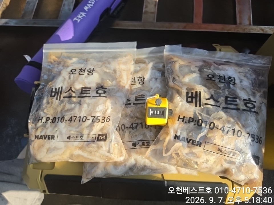 9월 7일 갑오징어 선상낚시 조황 현장 사진 15