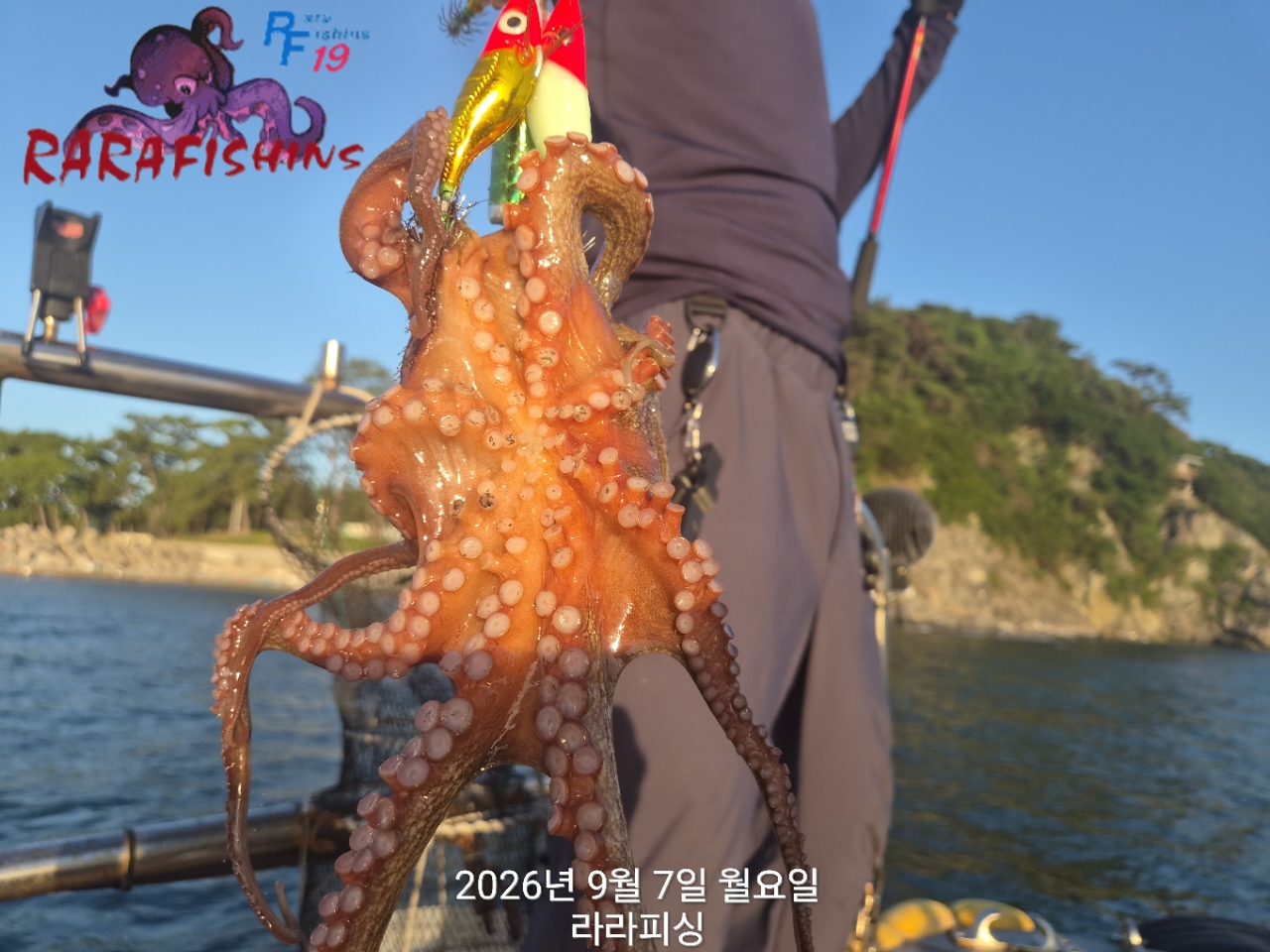 9월 7일 진해 문어 선상낚시 조황 현장 사진 6