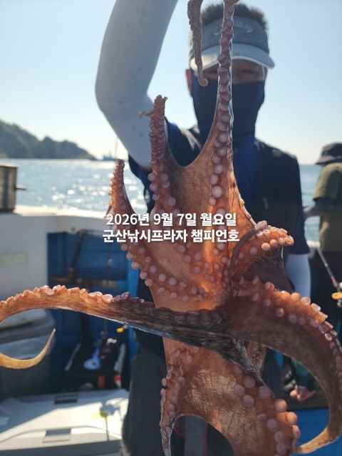 9월 7일 여수 주꾸미 선상낚시 조황 현장 사진 3