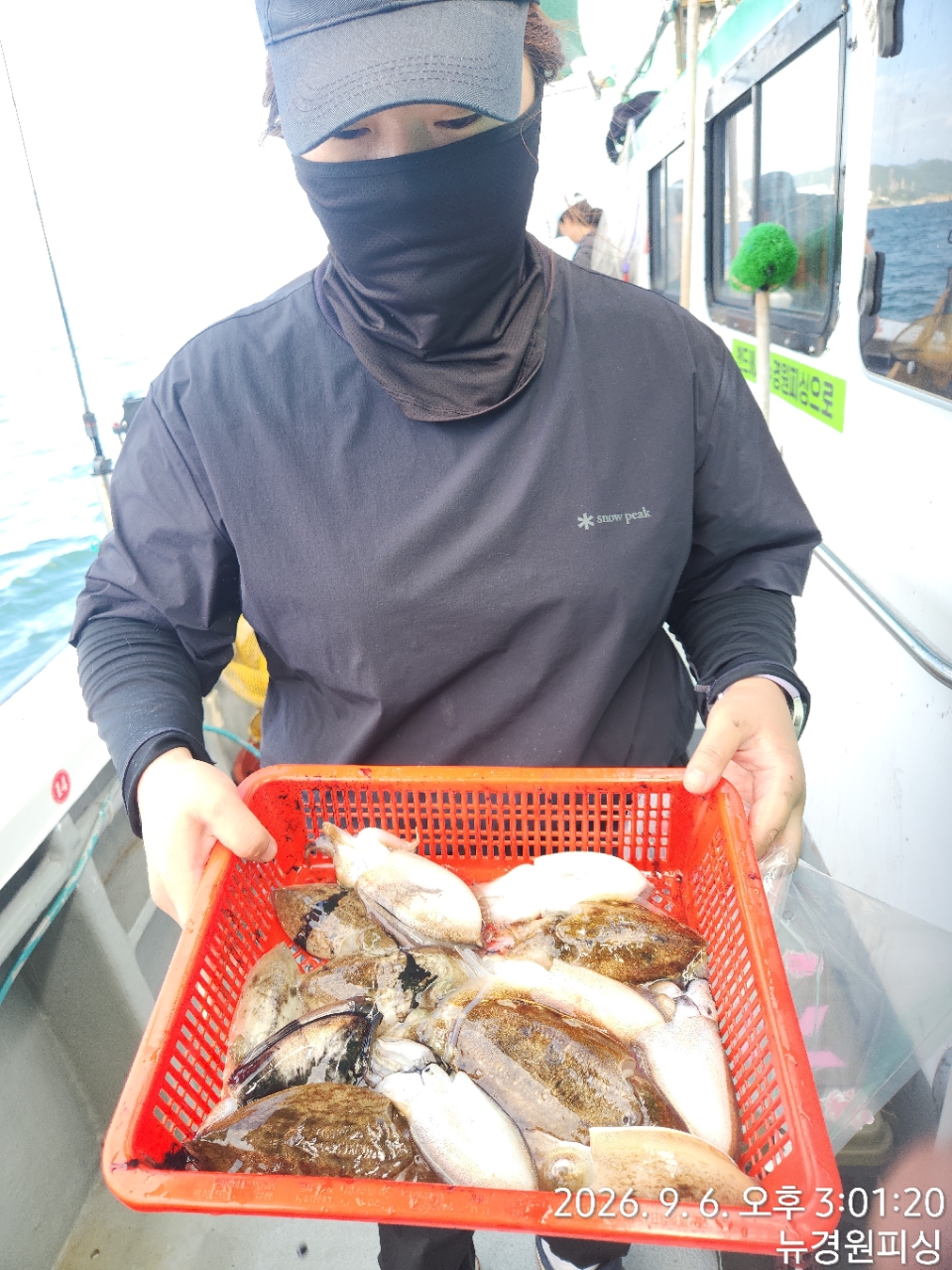 9월 7일 삼천포 갑오징어 선상낚시 조황 현장 사진 8