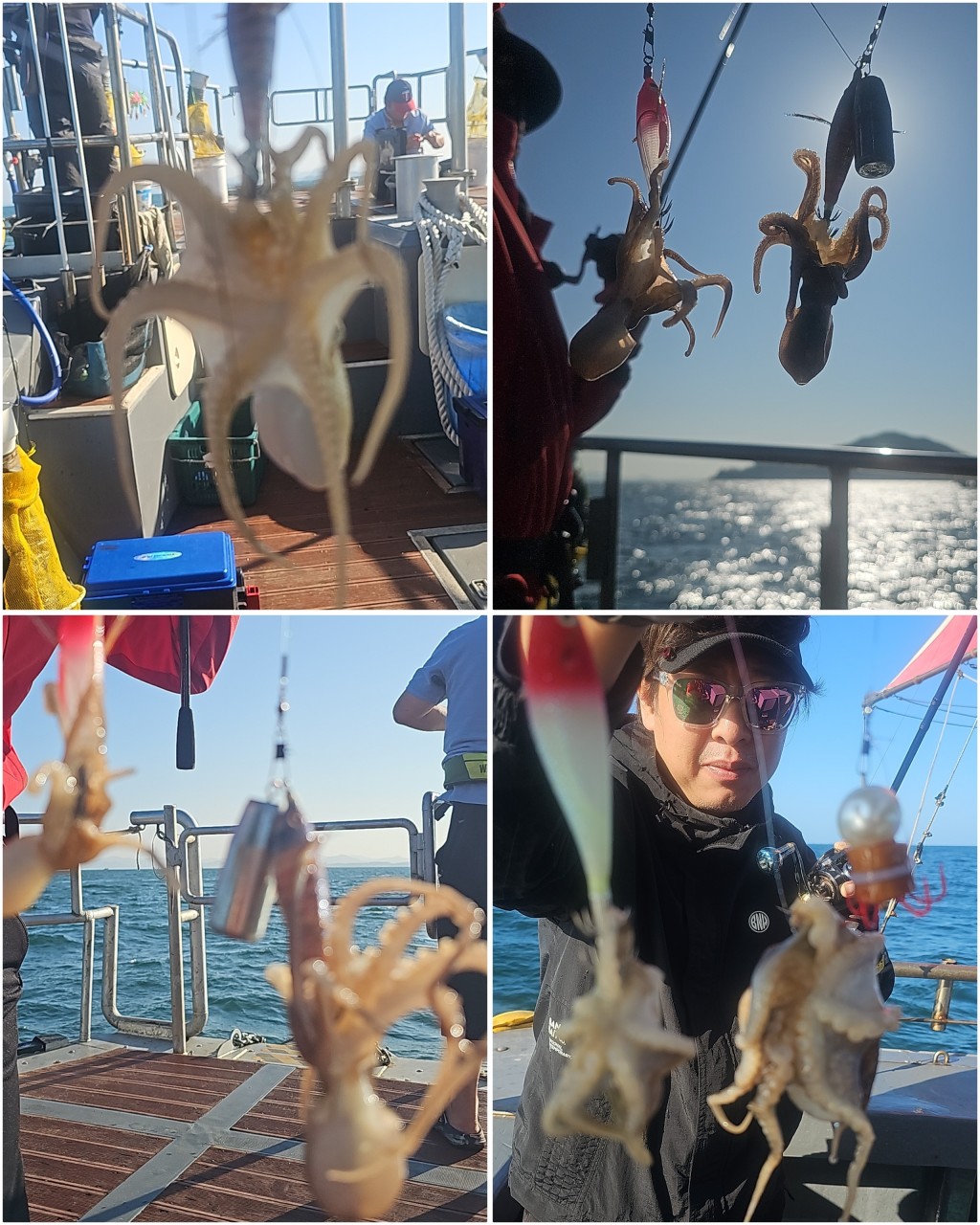 9월 7일 문어 선상낚시 조황 현장 사진 6