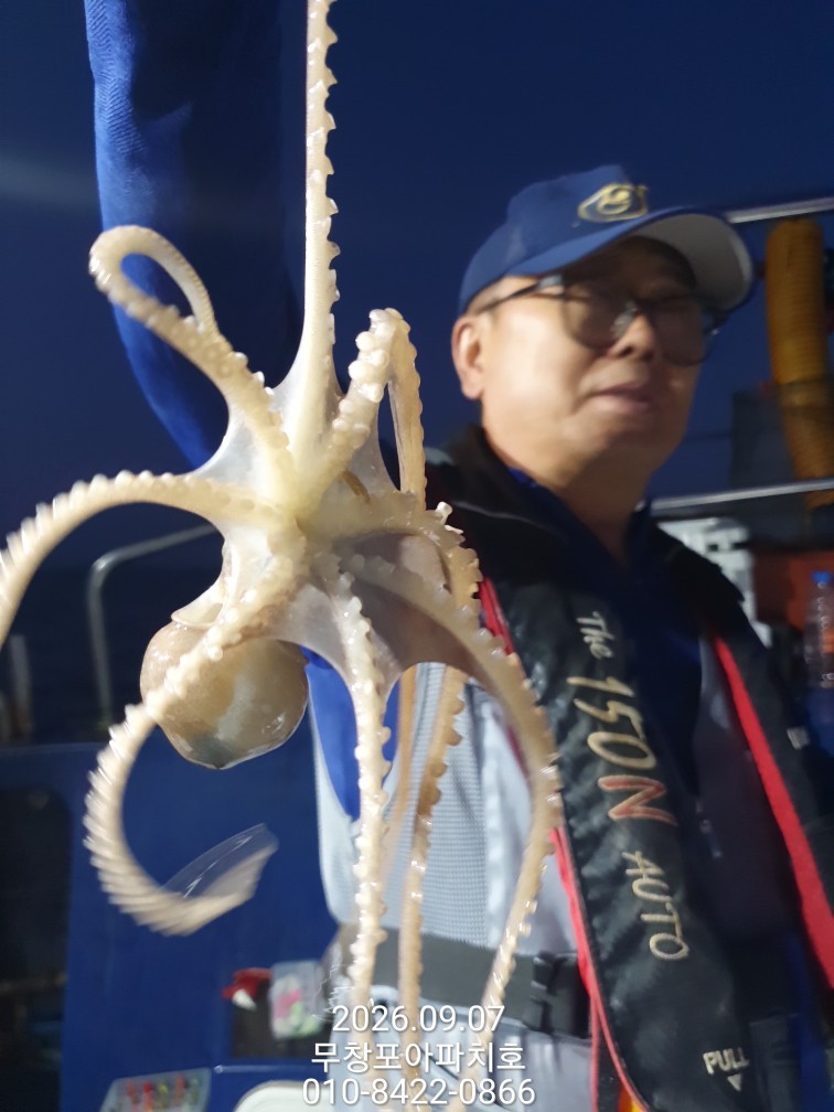 9월 7일 포항 주꾸미 선상낚시 조황 현장 사진 16