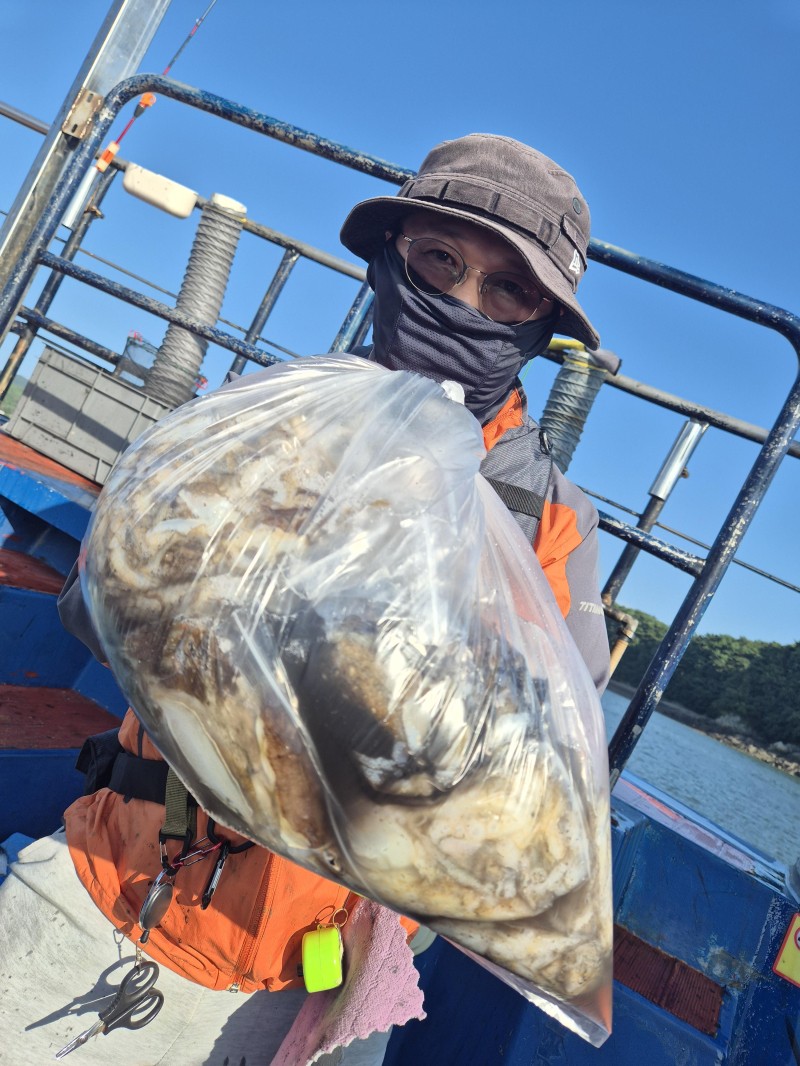 9월 7일 갑오징어 선상낚시 조황 현장 사진 12