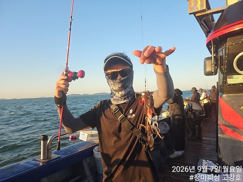 9월 7일 인천 갑오징어 선상낚시 조황 현장 사진 18