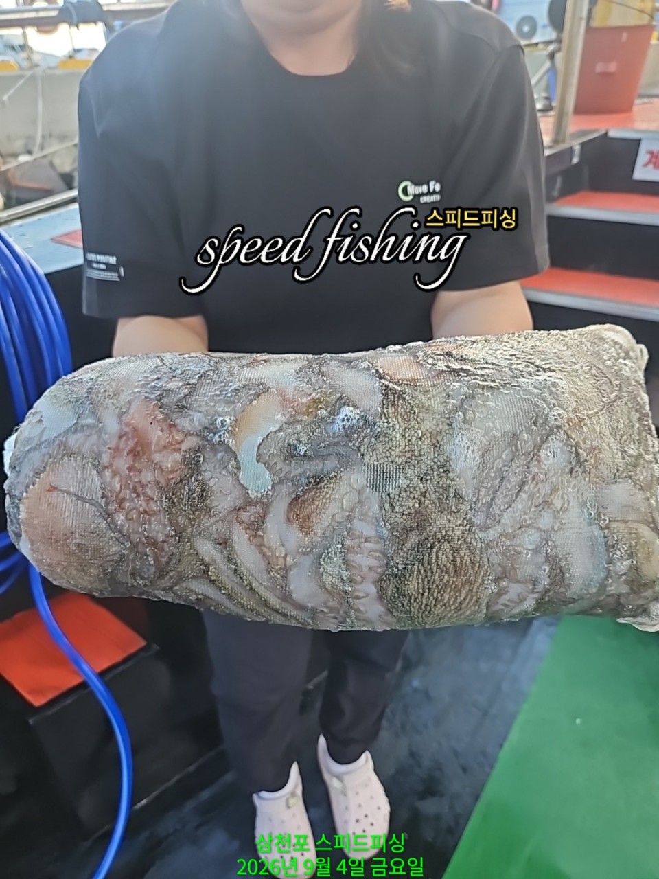 9월 7일 삼천포 문어 선상낚시 조황 현장 사진 3