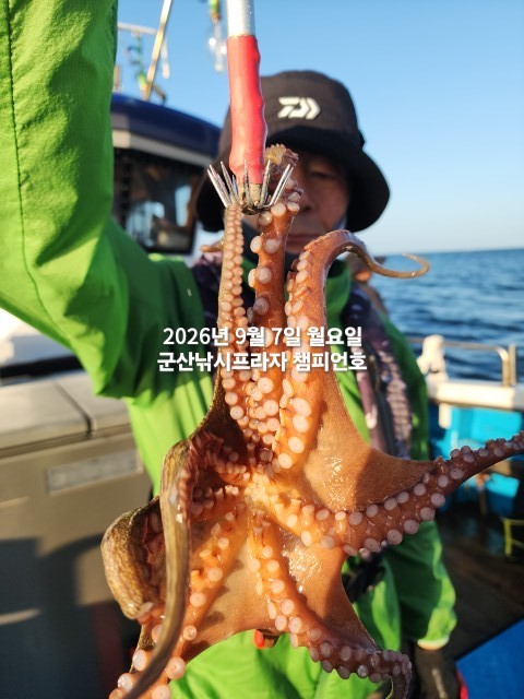9월 7일 여수 주꾸미 선상낚시 조황 현장 사진 9