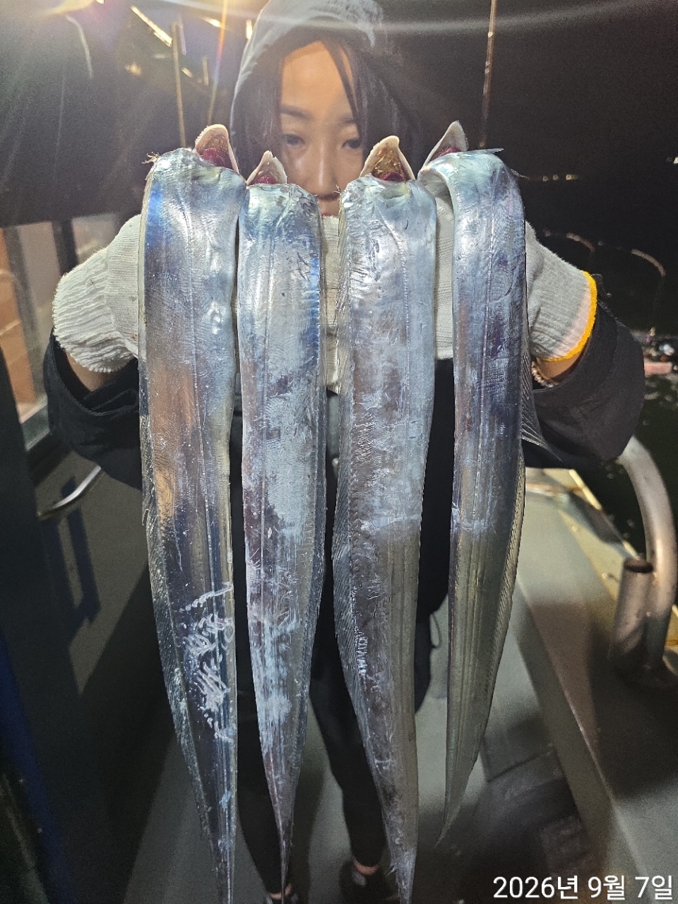 9월 6일 남해 무늬오징어 선상낚시 조황 현장 사진 4