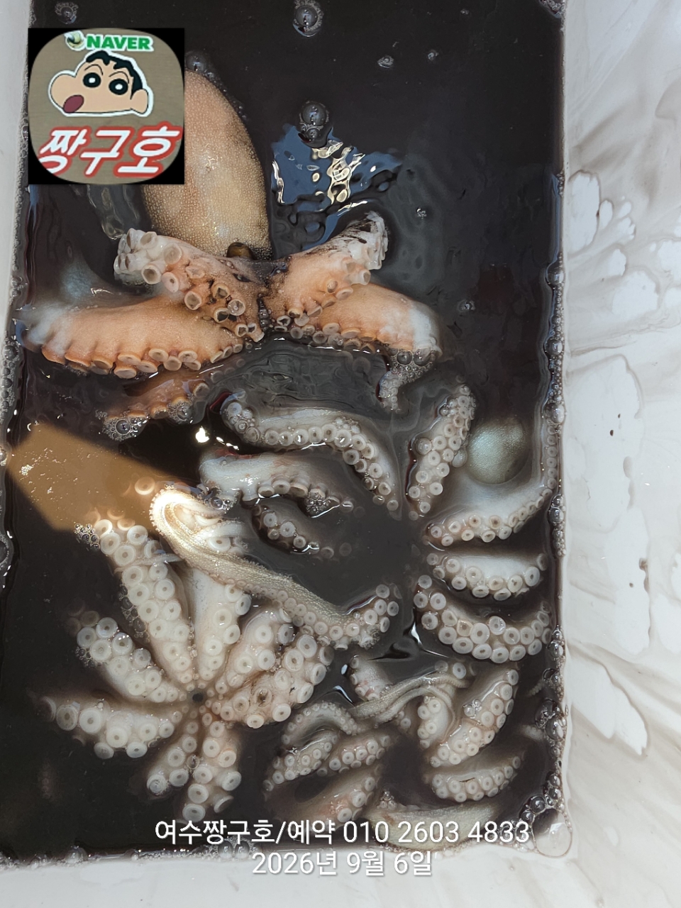 9월 6일 여수 문어 선상낚시 조황 현장 사진 10