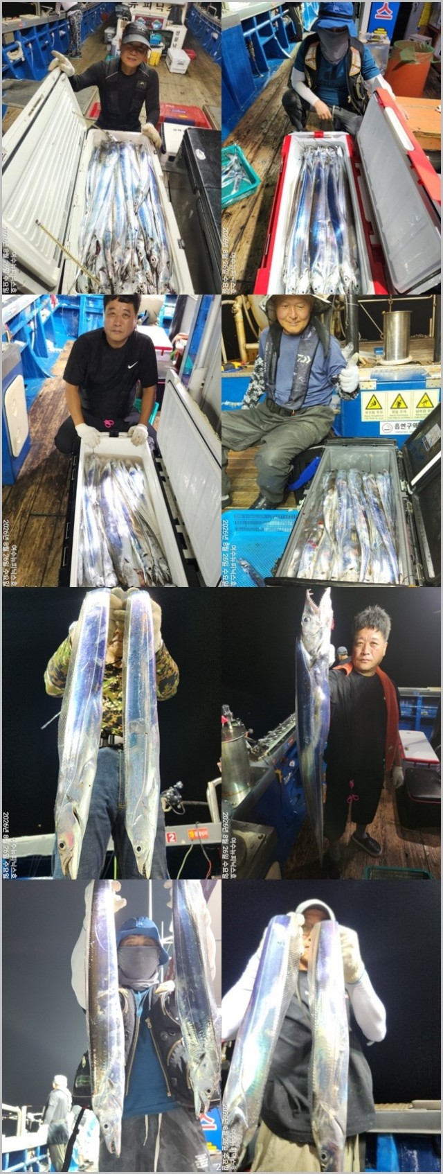 9월 7일 남해 갈치 선상낚시 조황 현장 사진 3