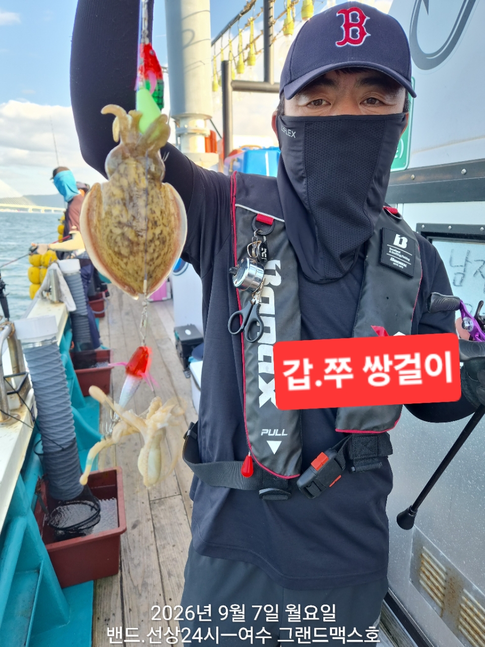 9월 7일 갑오징어 선상낚시 조황 현장 사진 3