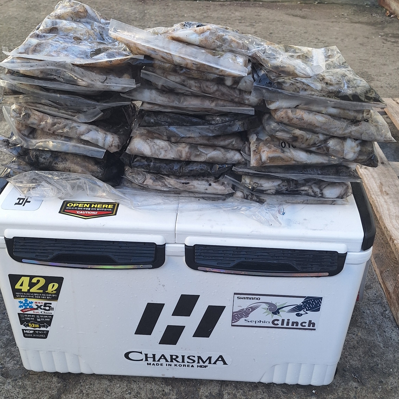 9월 7일 부산 갑오징어 선상낚시 조황 현장 사진 29